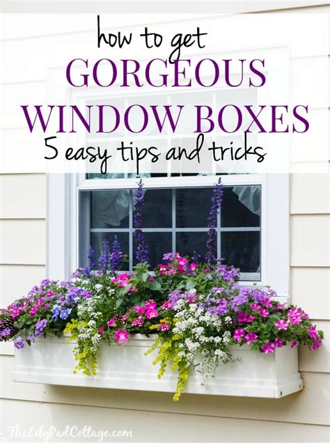 window boxes that will not fall apart